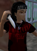 avpic