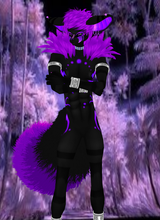 avpic