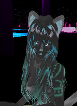 avpic