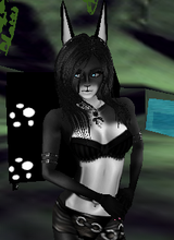 Guest_wtfhahalolz