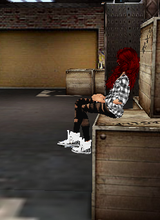 avpic
