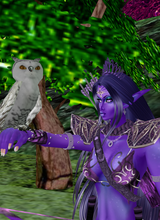 avpic
