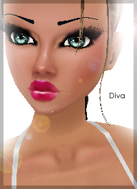 DiVa