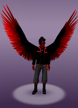 avpic