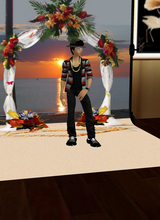 avpic