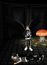 avpic