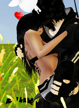 avpic