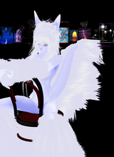 avpic