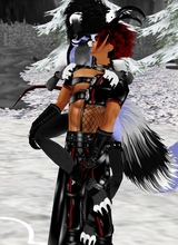 avpic