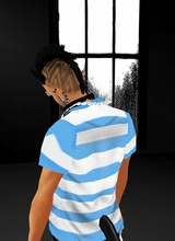 avpic