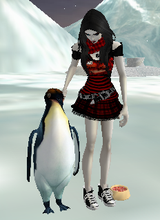 avpic