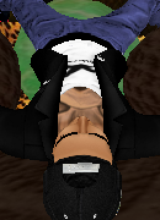 avpic