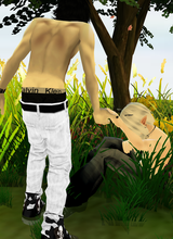 avpic