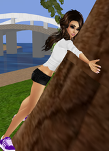 avpic