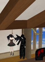 avpic