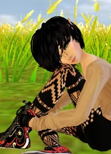 avpic
