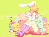 avpic