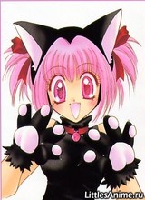 avpic