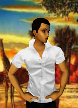 avpic