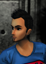 avpic