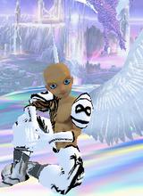 avpic
