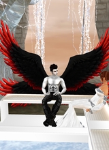 avpic