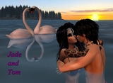 avpic