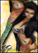 Snap_211172024aadf49bed61f.png