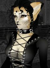 Snap_109050263449f79a27be4a6.jpg