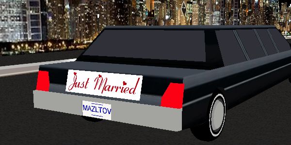 Just Married Banner for Limousine Ride