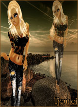 Snap_20532034494a96bdb0d630d.png