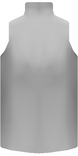 Skintight Top Front Texture