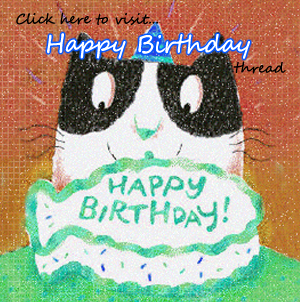 http://userimages-akm.imvu.com/userdata/12/11/73/02/userpics/birthday_thread_0.png