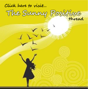 http://userimages-akm.imvu.com/userdata/12/11/73/02/userpics/sunny_positivethread_0.png