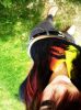 New. - 