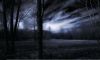 group image for Twilight Dreams