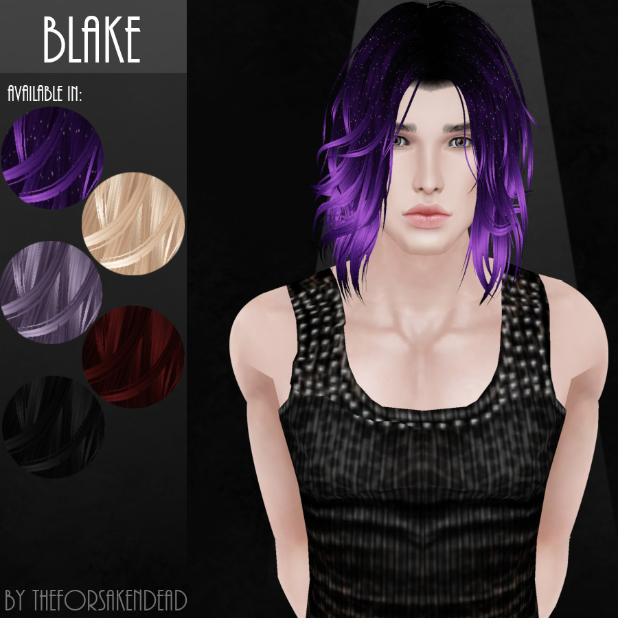 Blake - Male Hair