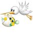 Cutie - 