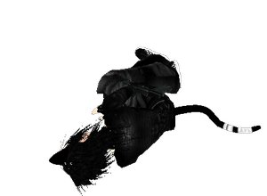 Snap_20935133284a6e178d42971.png