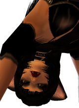 Snap_18262916694a4c34cd6fc41.png