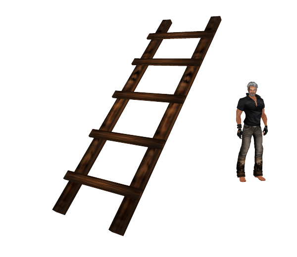 Wooden Ladder without scaling