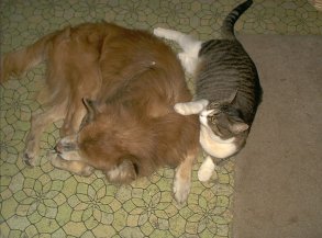 Spot and her dog, Mac