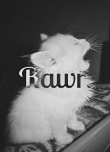 XxmecleloverxX