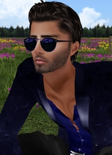 SirC1