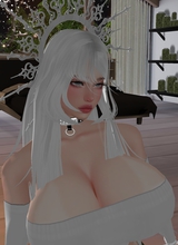 Azukitar
