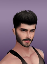 S2LH