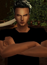 MrShaunWild