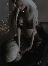 Dear
