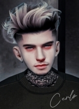 Guest_Cerlo