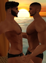 immagine avatar